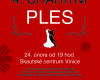 24.2.17 – 4. charitní ples