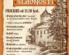 17.9.17 – Rychmburské hradní slavnosti